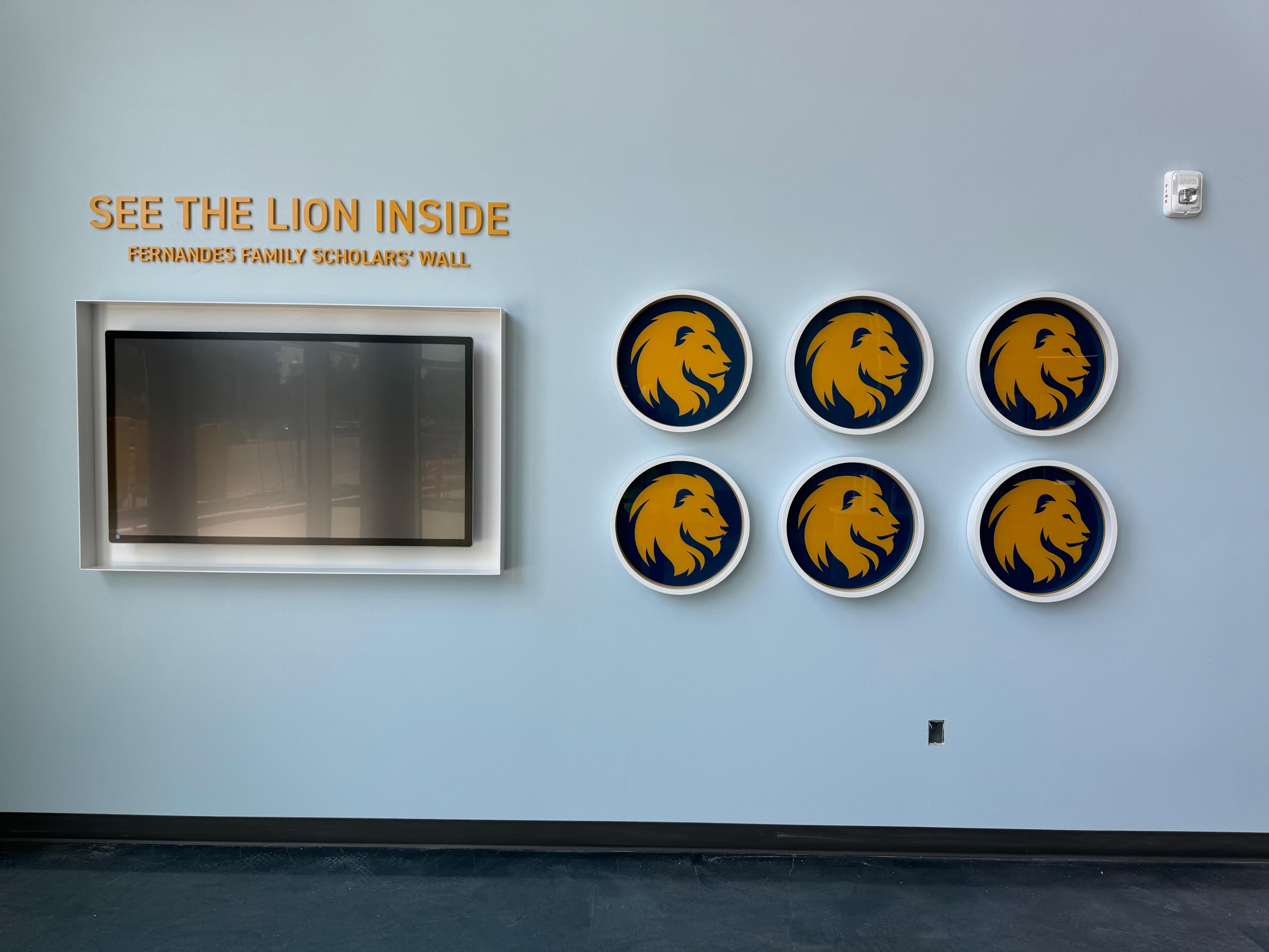 Texas A&M Project Image 4